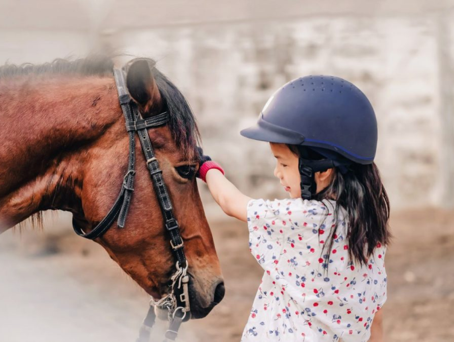 Loisirs Demo Equitation 04 Demo 14