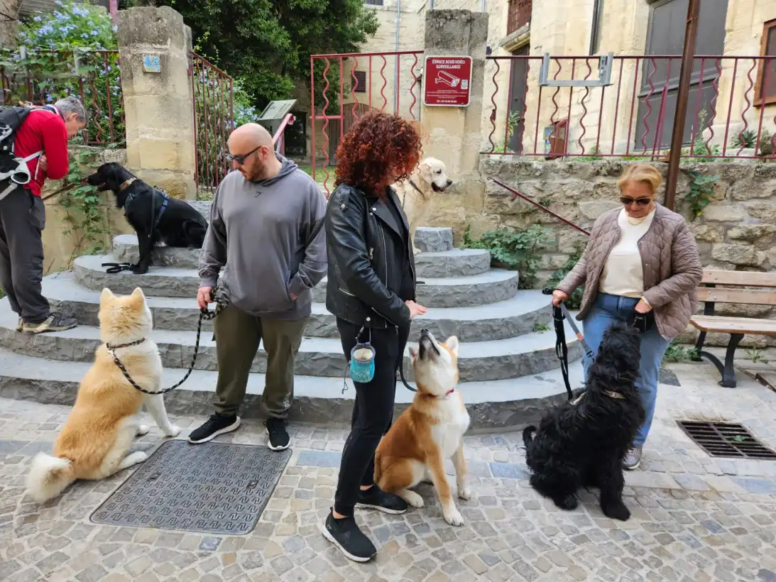 Ami Doggy Educateur Canin Montpellier Ateliers Educatifs 11