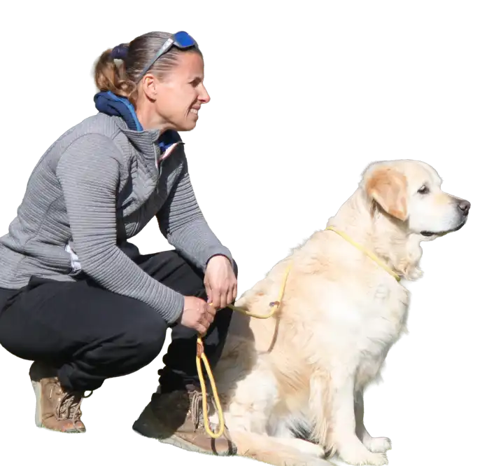 Ami Doggy Educateur Canin Montpellier Educateur Canin A Sommieres