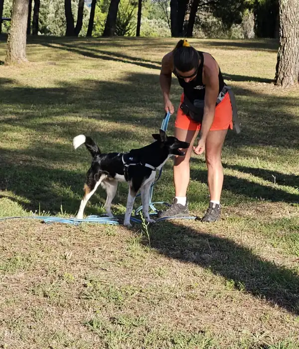 Ami Doggy Educateur Canin Montpellier Tarifs Et Idees Cadeaux 1