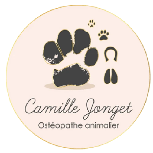 Ami Doggy Educateur Canin Montpellier Favicon 1 1 1