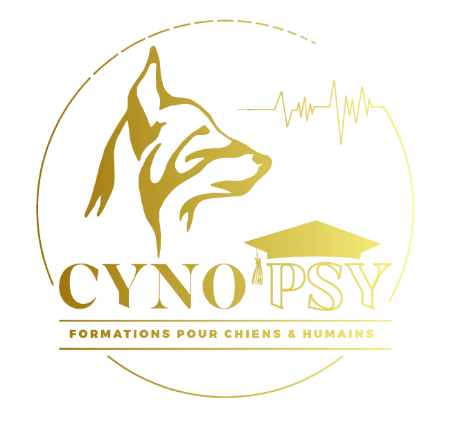 Ami Doggy Educateur Canin Montpellier Cynopsy 1