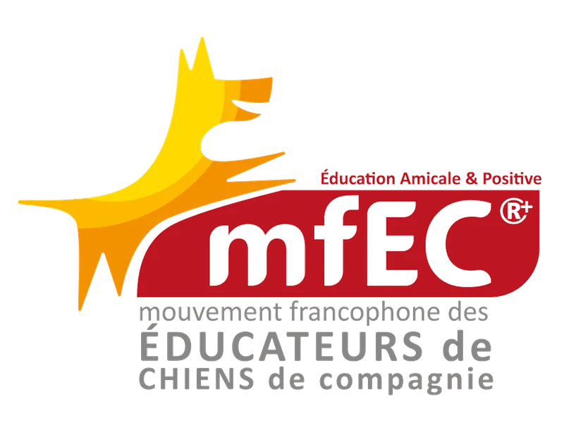 Ami Doggy Educateur Canin Montpellier Mfec 1