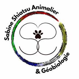 Ami Doggy Educateur Canin Montpellier Partenaire 1 1