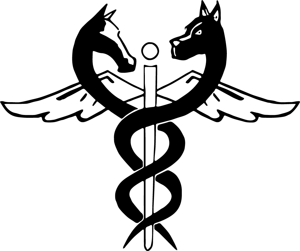 Ami Doggy Educateur Canin Montpellier Partenaire 4 1