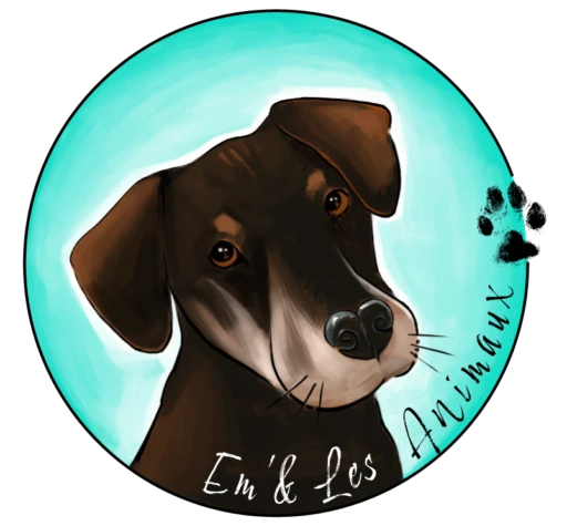 Ami Doggy Educateur Canin Montpellier Partenaire 2 1 1