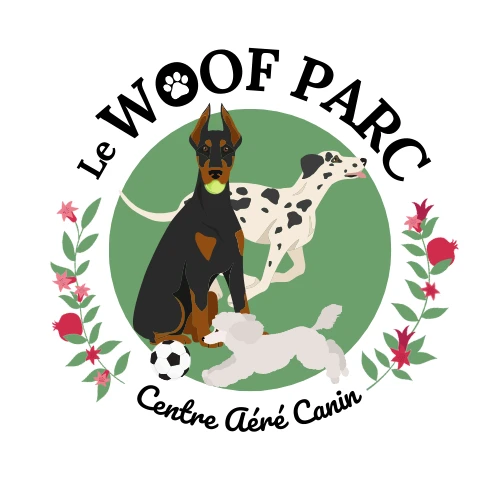 Ami Doggy Educateur Canin Montpellier Partenaire 5 1 1