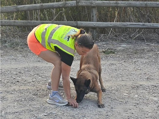 Ami Doggy Educateur Canin Montpellier Activites 1 1 Ami Doggy Educateur Canin Montpellier Activites 1 1