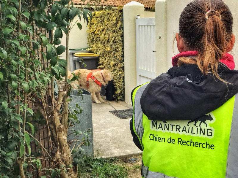 Ami Doggy Educateur Canin Montpellier IMG 20240225 182351