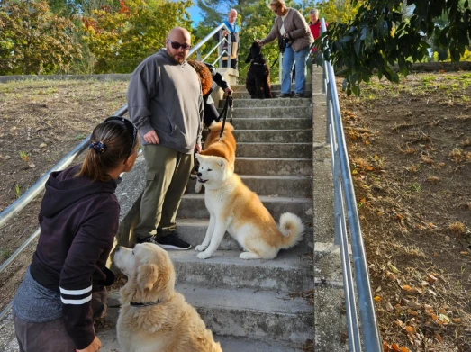 Ami Doggy Educateur Canin Montpellier Prestation 1