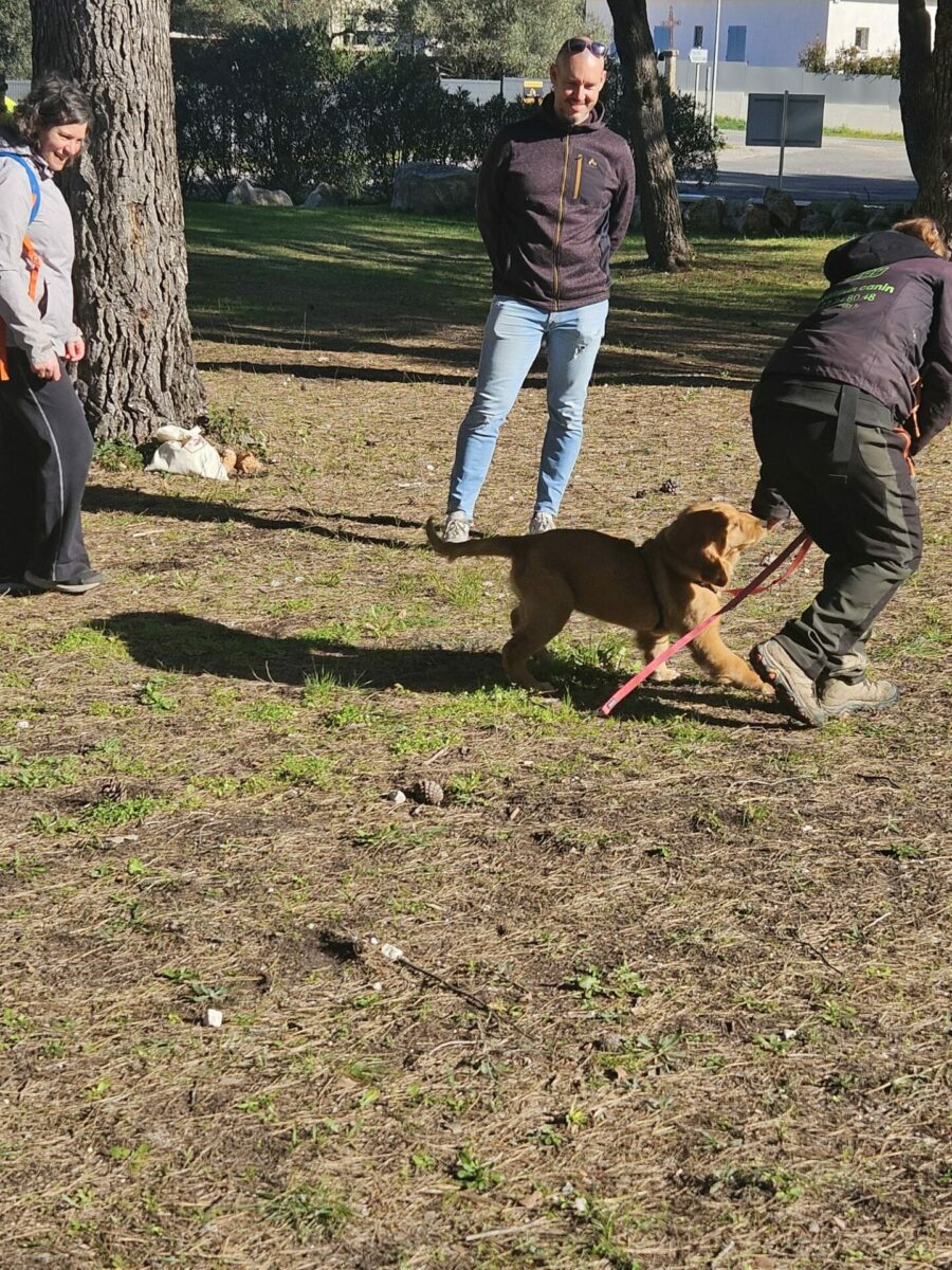 Ami Doggy Educateur Canin Montpellier IMG 20260301 WA0095